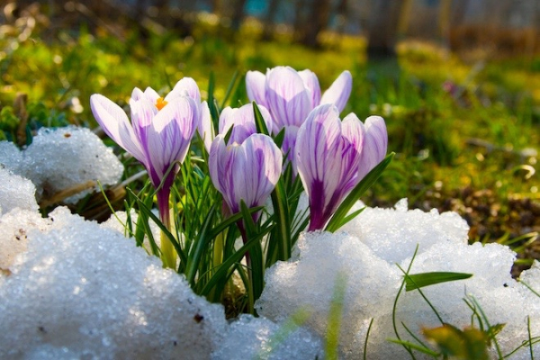 Русские народные приметы про погоду на март
